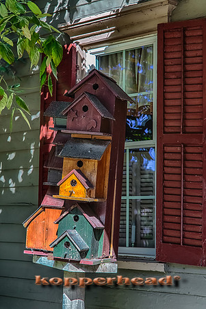 11613 09 2013 Kopperhead_HDR