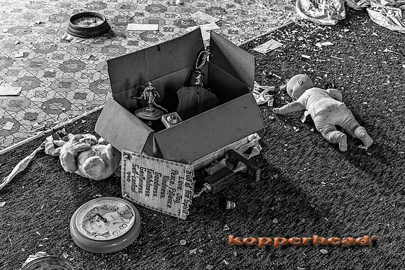 63813h3 10 2016 Kopperhead