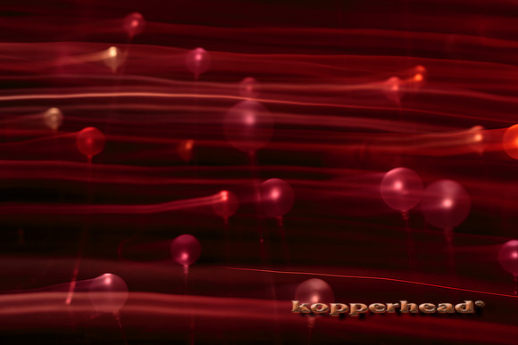 16726 01 2014 Kopperhead