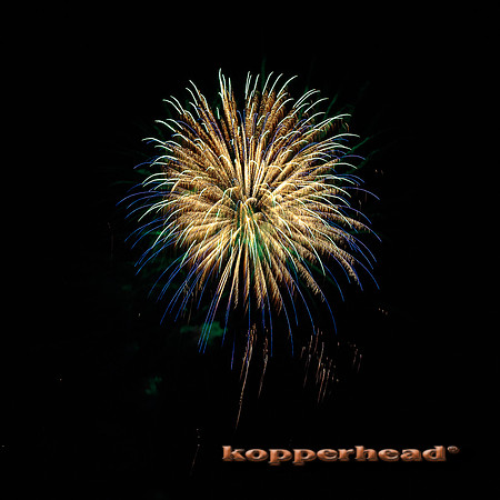 57748 07 2016 Kopperhead