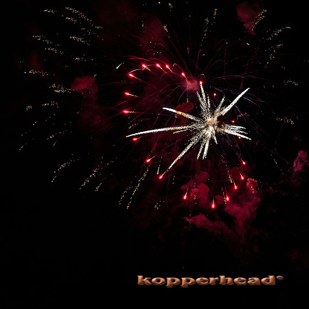 08867 08 2013 Kopperhead
