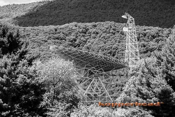 69774ir 07 2016 Kopperhead