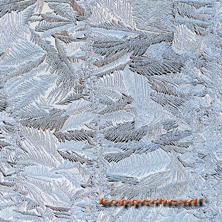16141 01 2014 Kopperhead-2