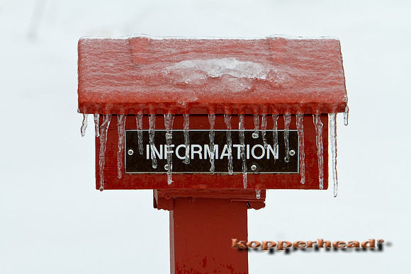 17760 02 2011 Kopperhead