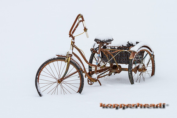 58460 02 2013 Kopperhead