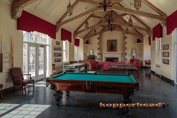 49045 03 2016 Kopperhead