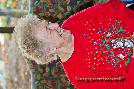 39909 11 2011 Kopperhead