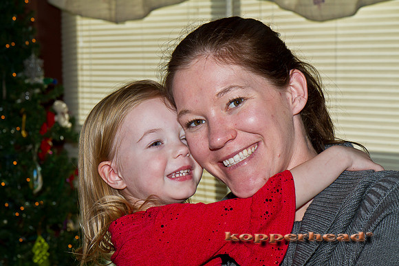 40024 12 2011 Kopperhead