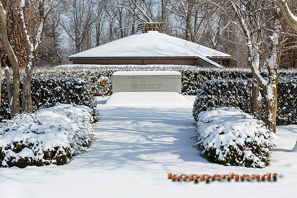 29911 02 2015 Kopperhead