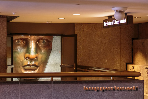 22652 07 2014 Kopperhead