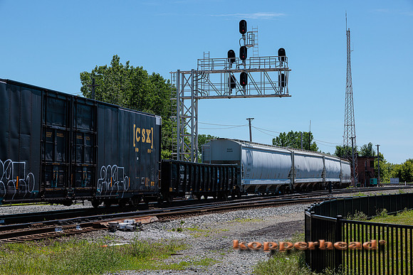 41783 06 2022 Kopperhead