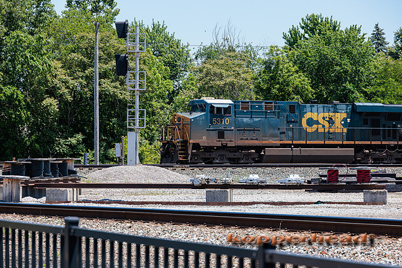 41775 06 2022 Kopperhead