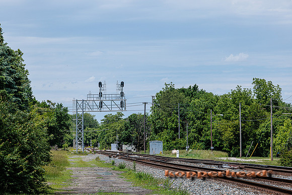 41816 06 2022 Kopperhead
