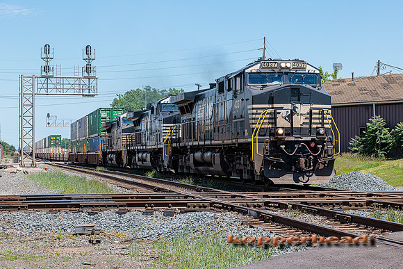 41801 06 2022 Kopperhead