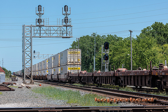 41814 06 2022 Kopperhead