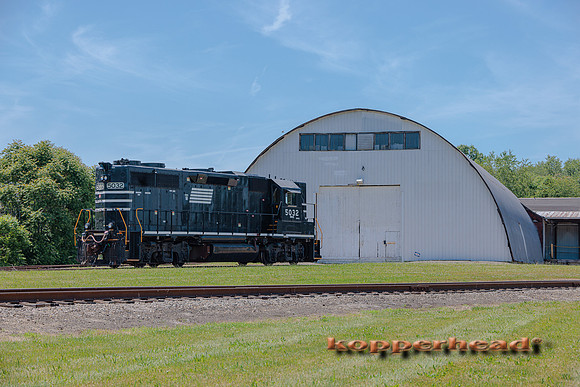 43276 06 2022 Kopperhead