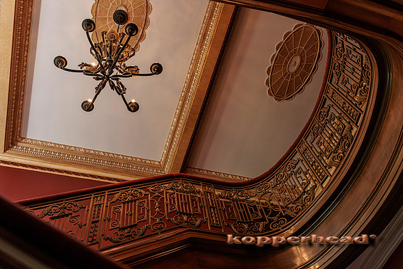 43285 06 2022 Kopperhead