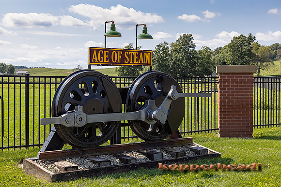 16196 09 2021 Kopperhead
