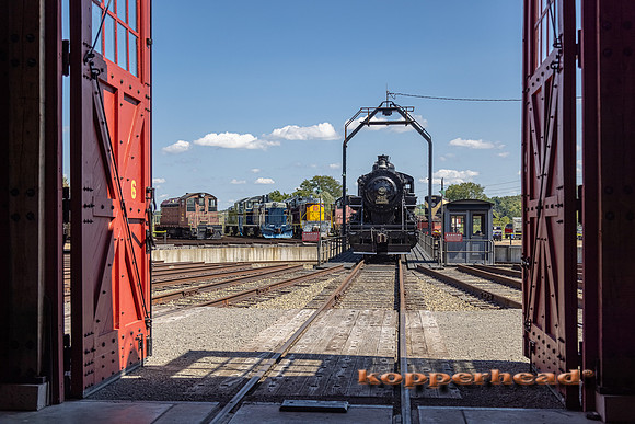 16167 09 2021 Kopperhead