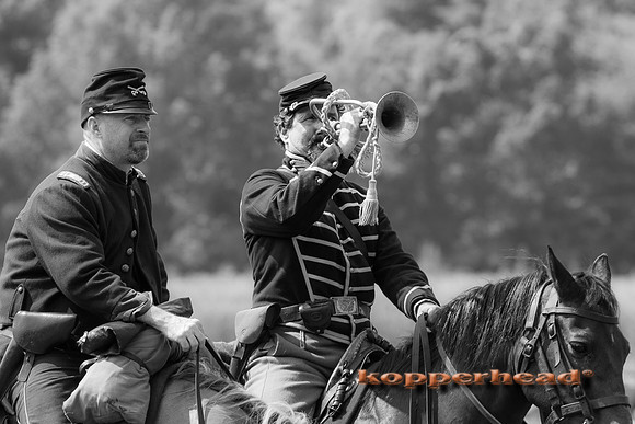 65283 08 2014 Kopperhead