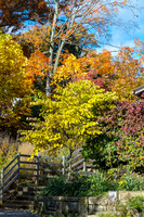 Akron Zoo Oct. & Nov. 2018