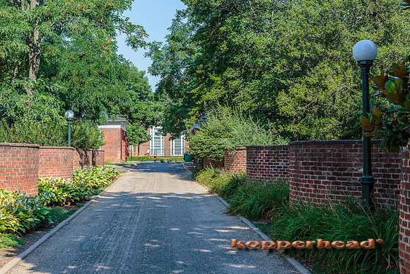 59647 07 2016 Kopperhead