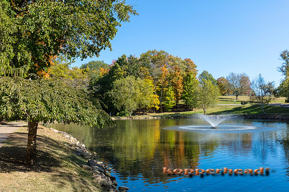 46015 10 2019 Kopperhead