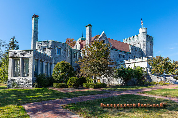 45985 10 2019 Kopperhead