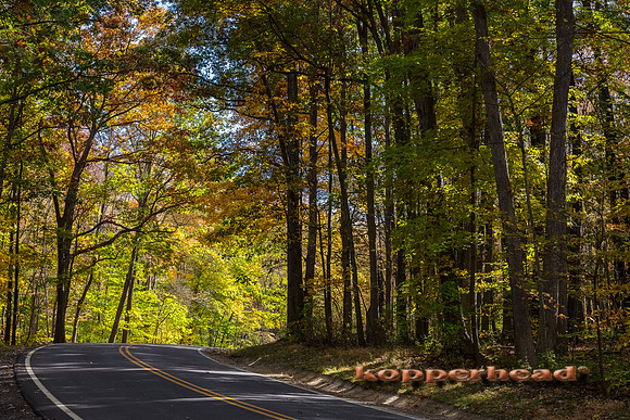 46210 10 2019 Kopperhead