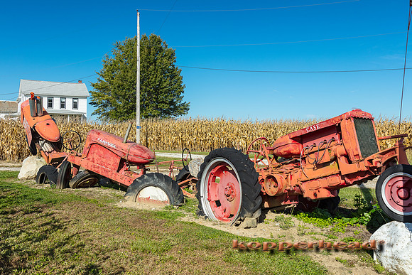 45715 10 2019 Kopperhead