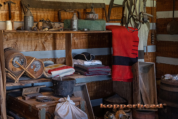 14927 09 2021 Kopperhead