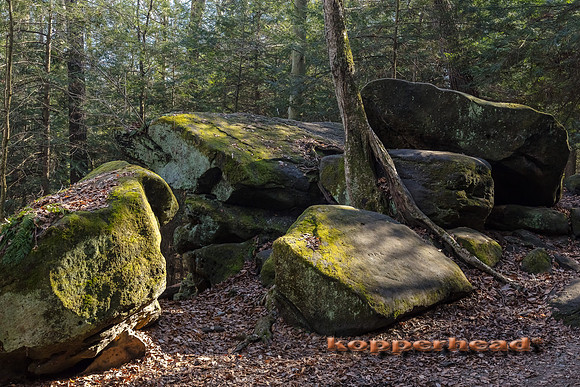 04376 02 2017 Kopperhead
