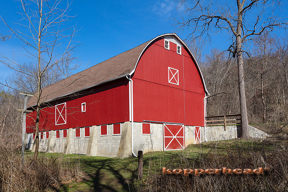 04401 02 2017 Kopperhead