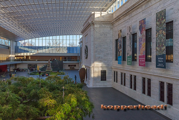 14035 01 2018 Kopperhead