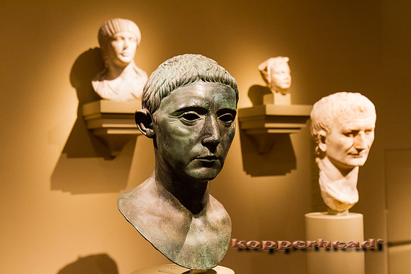 61144 03 2013 Kopperhead
