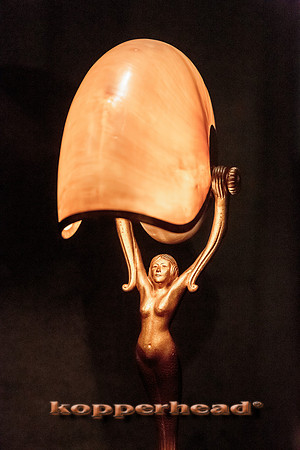16336 02 2014 Kopperhead