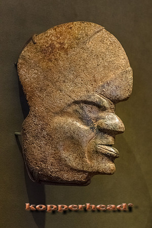 34718 03 2019 Kopperhead