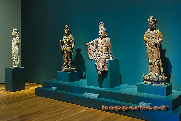 14027 01 2018 Kopperhead