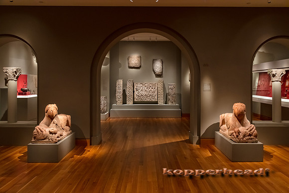 06481 06 2017 Kopperhead