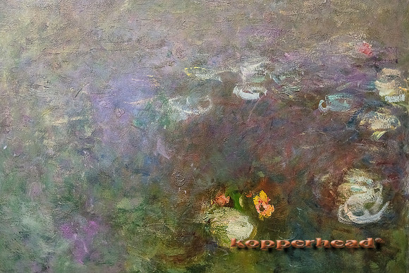 14002 01 2018 Kopperhead
