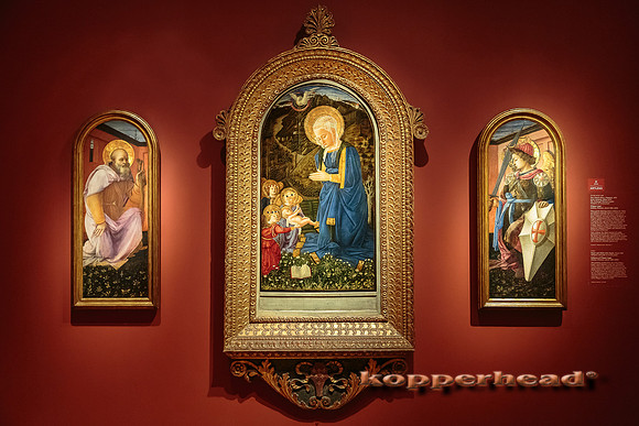 30869 04 2015 Kopperhead