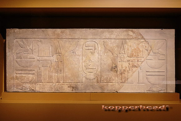 49222 03 2016 Kopperhead