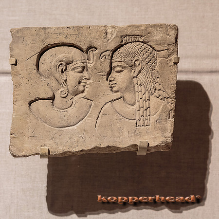 49248 03 2016 Kopperhead