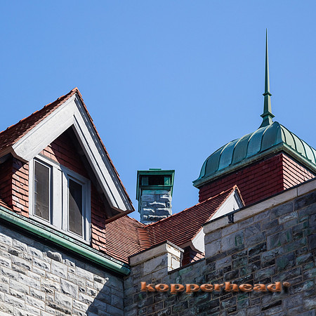 04792 04 2020 Kopperhead