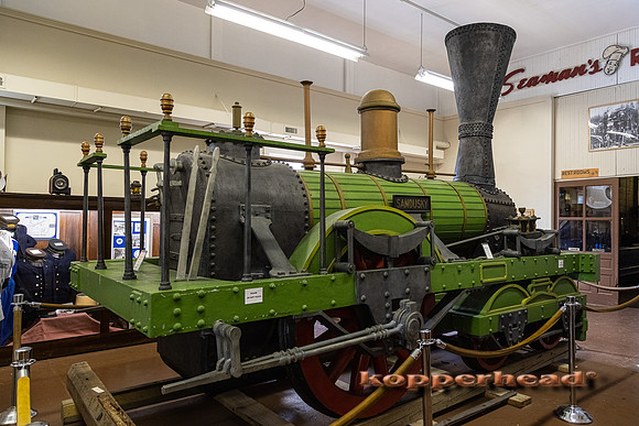 17787 10 2021 Kopperhead