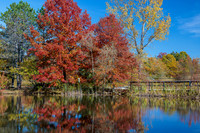 Fall Colors 2022
