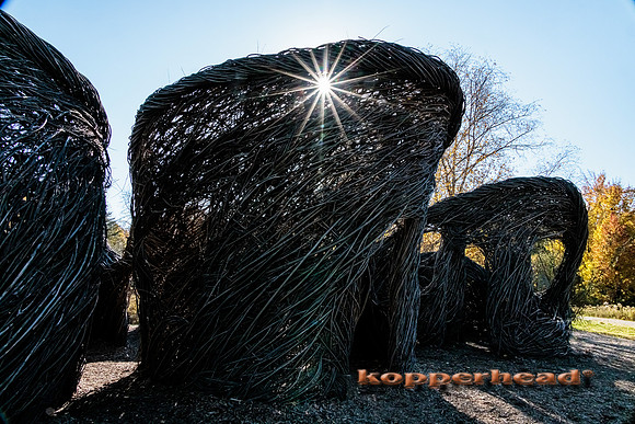51403 10 2022 Kopperhead