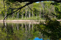 North Chagrin & Viaduct Park