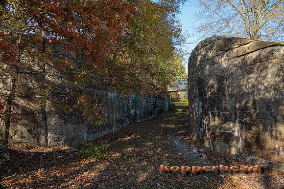 51675 10 2022 Kopperhead