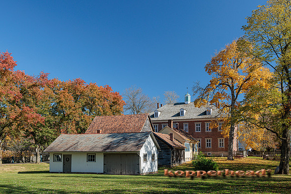 51638 10 2022 Kopperhead